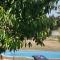 Le petit mas en provence avec piscine
