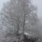 appartement mitoyen dans chalet - Fraize