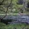 A Relaxing Getaway-A Backwoods Cabin SolDuc River - Beaver