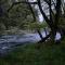 A Relaxing Getaway-A Backwoods Cabin SolDuc River - Beaver