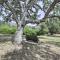 Family Home Near Kings and Sequoia National Parks!
