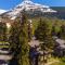 Snowbird Condo 195 - C