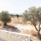 AEONIOS LUXURY VILLA