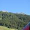 Quality Hosts Arlberg - ALPtyrol Appartements - 圣安东阿尔贝格