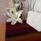 Feher Barany Apartment