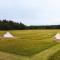 Forest Edge Glamping - Gittisham