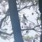 APARTAMENTO LEMMON TREE