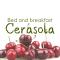 Cerasola Bed & Breakfast