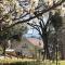 Sierra Mountain Lodge - Vacation Rentals - Yosemite - Ahwahnee