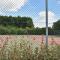 Holiday Home in Flevoland with Pool