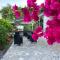 Guesthouse Villa Stanger 2