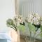 City apartment 3 BEDROOM, KITCHEN, WIFI, WORKSPACE, COFFEE, Central