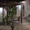 Lemon Tree Courtyard