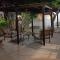 Lemon Tree Courtyard