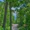 Grand Chalet with Hot Tub - Near Wintergreen Resort