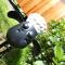 Abergwynant Farm Glamping & Apartments