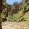 Cozy Zion farmhouse, cool or hot swim spa, fireplace & firepit