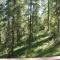 Studio calme en forêt, proche télésiège et commerces - FR-1-322-289 - 莱索尔