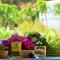 KARIBEKO : Exceptionnel & Rare : Plage , Piscine, WiFi privé - 圣弗朗索瓦