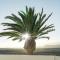 Aequora Lanzarote Suites