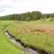 Shepherds Burn Cottage - Greenhaugh