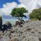 RAIATEA - Studio Tenape