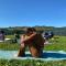 Glamping Iurte Mongole Spiritul Zimbrului - 布泽乌河畔瓦马乡