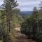 Forest Cabin 1 Hunters Blind