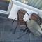 apartamente si studio joylife