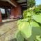 Willa Garden 2 z pięknym ogrodem i tarasem
