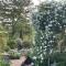 Les Jardins Haute Couture