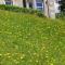 Woodburn ground-floor apartment in quiet setting in Pitlochry
