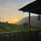 The Valley Tayrona hostel- A social jungle hostel - 埃尔扎伊诺