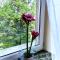 Comfort Apartment 2 rooms 65m2