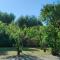 Cozy cottage with garden and olive grove of 5 acr