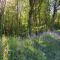Tresithick Vean Bed and Breakfast