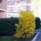 B&B Il Parco