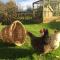 Little Pentre Barn with cosy logburner - Wrexham