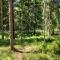 The Old Logging Camp - Yttermalung