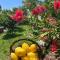 Holiday home Quinta do Mirante