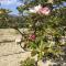 Pervolaris Cottages 2