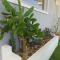 Stellina's new studio 5min from beach - Суда