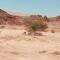 Desert Path