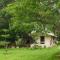 Fireflies Kabini