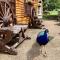 Water Mill Vacations Goldfinch - Pet Friendly