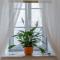 Foto: Charming Apartment Tanja 12/37