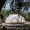 Cuturi Wine Glamping