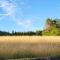 Pension am Wald