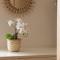 Beautiful Townhouse on The Great Orme, Llandudno PET FRIENDLY