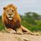 Inyati Game Lodge - Sabi Sand Game Reserve